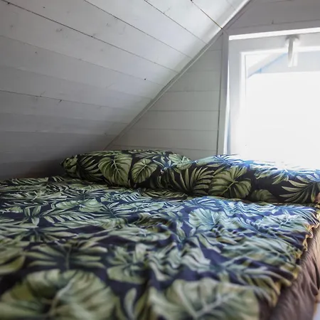 Bursztynowe W Helu Dom wakacyjny *